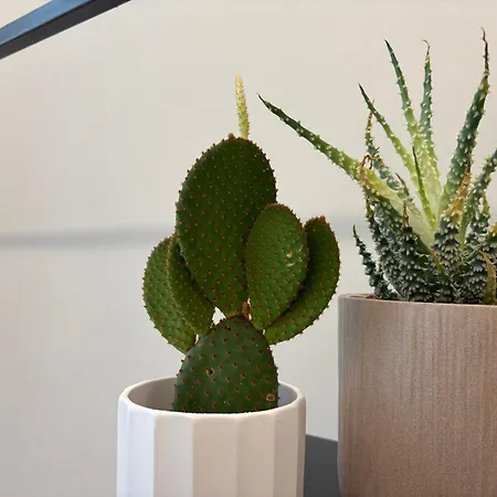 Ferienhaus Partifour Bergamo